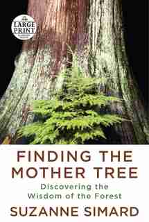 Finding The Mother Tree: Discovering The Wisdom Of The Forest by Suzanne Simard