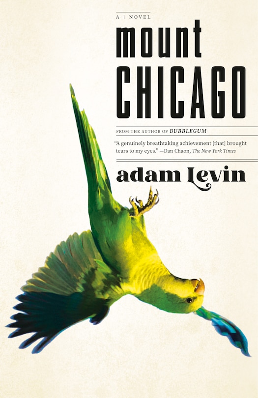 Front cover_Mount Chicago
