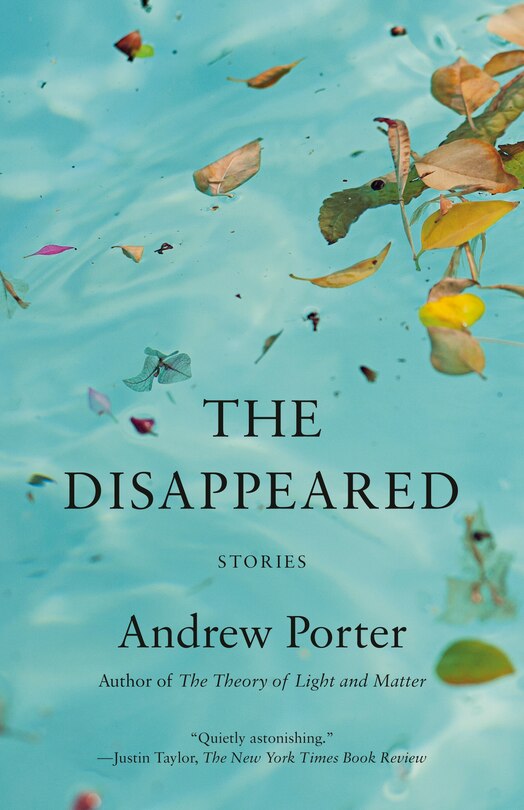 Front cover_The Disappeared