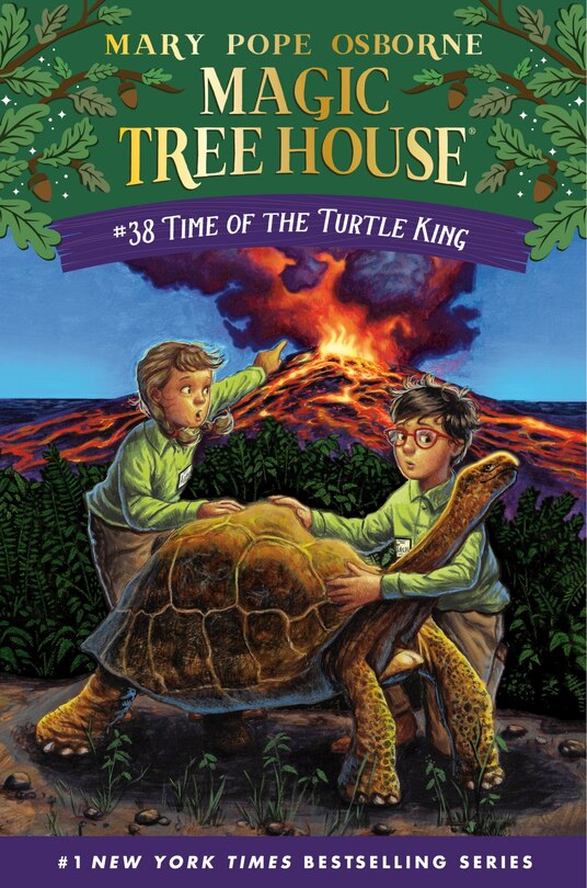 Front cover_Time of the Turtle King