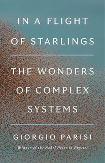 Front cover_In a Flight of Starlings