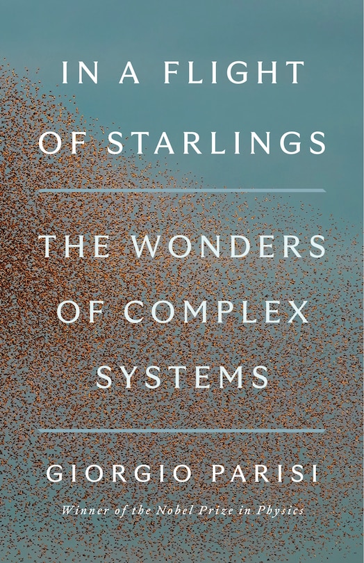 Front cover_In a Flight of Starlings