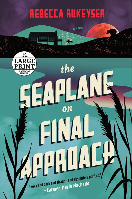 Front cover_The Seaplane On Final Approach