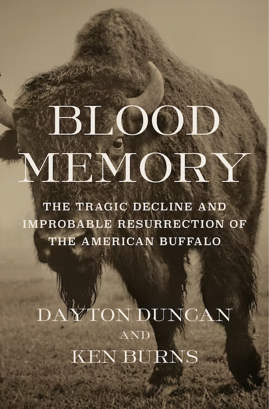 Couverture_Blood Memory
