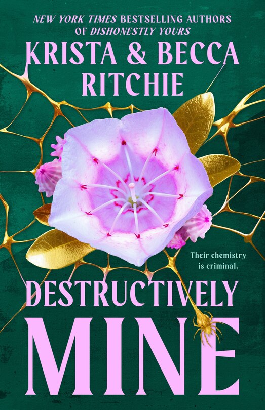 Front cover_Destructively Mine