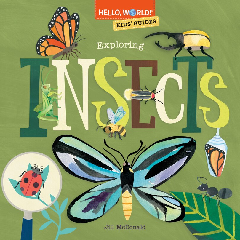 Couverture_Hello, World! Kids' Guides: Exploring Insects