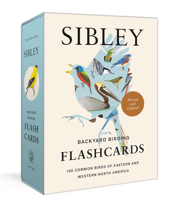 Front cover_Sibley Backyard Birding Flashcards, Revised And Updated