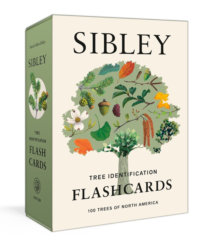 Front cover_Sibley Tree Identification Flashcards