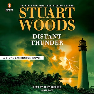 Couverture_Distant Thunder