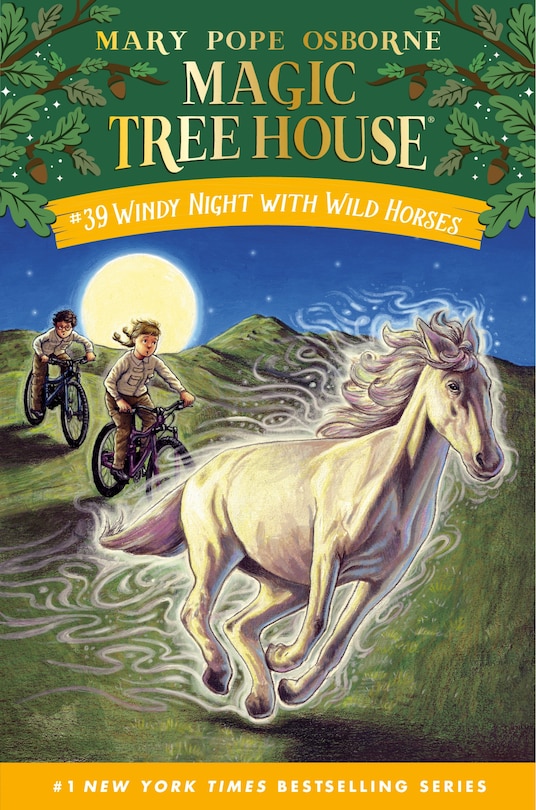 Front cover_Windy Night with Wild Horses