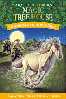 Front cover_Windy Night with Wild Horses