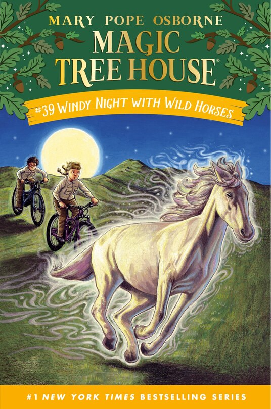 Front cover_Windy Night with Wild Horses
