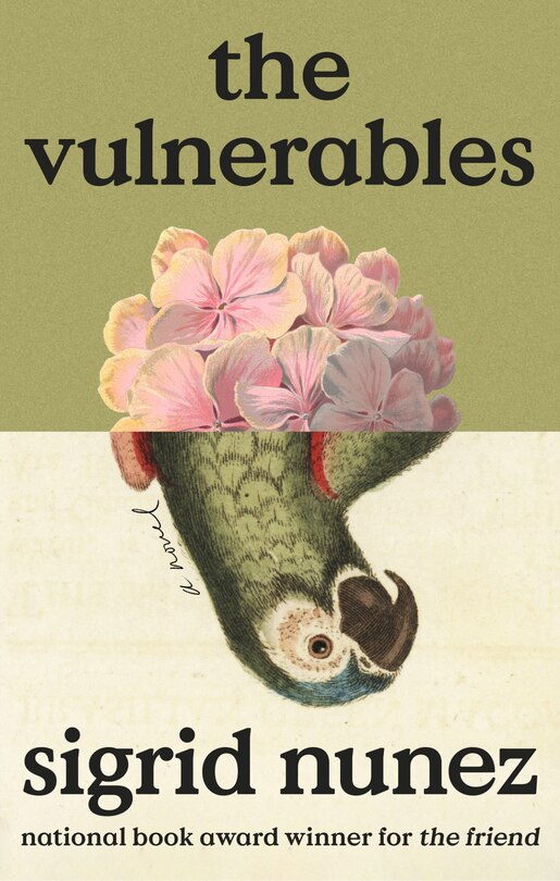 Couverture_The Vulnerables