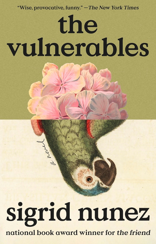 Front cover_The Vulnerables