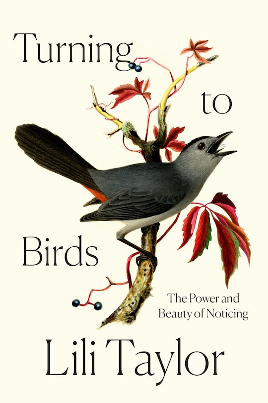 Front cover_Turning to Birds
