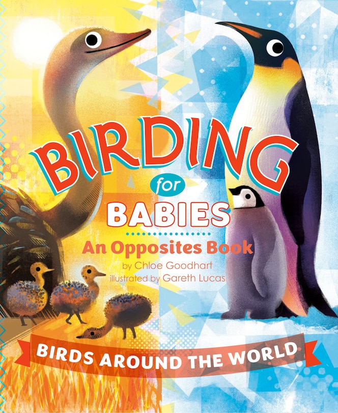 Front cover_Birding for Babies: Birds Around the World