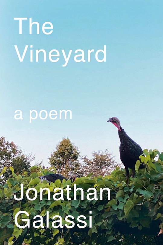 Couverture_The Vineyard