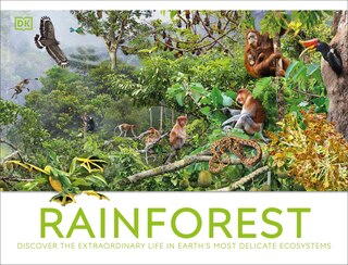 Couverture_Rainforest