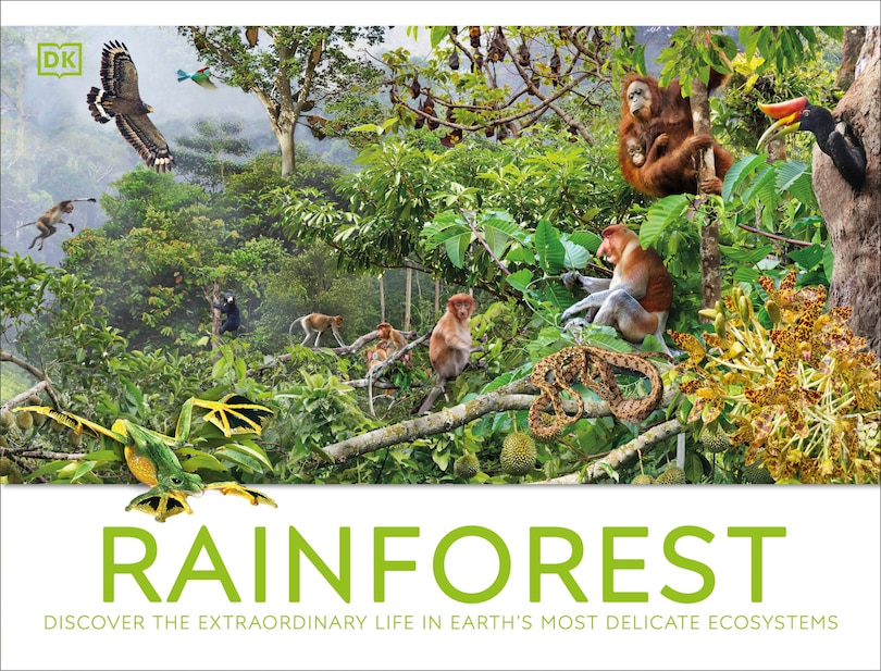 Couverture_Rainforest