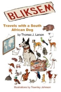 Front cover_Bliksem