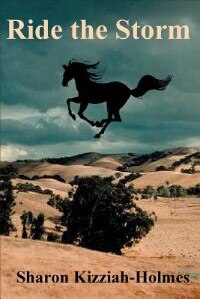 Front cover_Ride the Storm