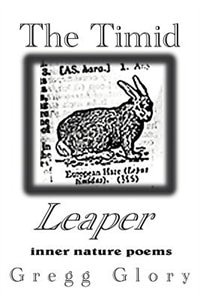 Couverture_The Timid Leaper