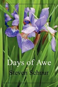 Front cover_Days Of Awe