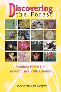 Front cover_Discovering the Forest