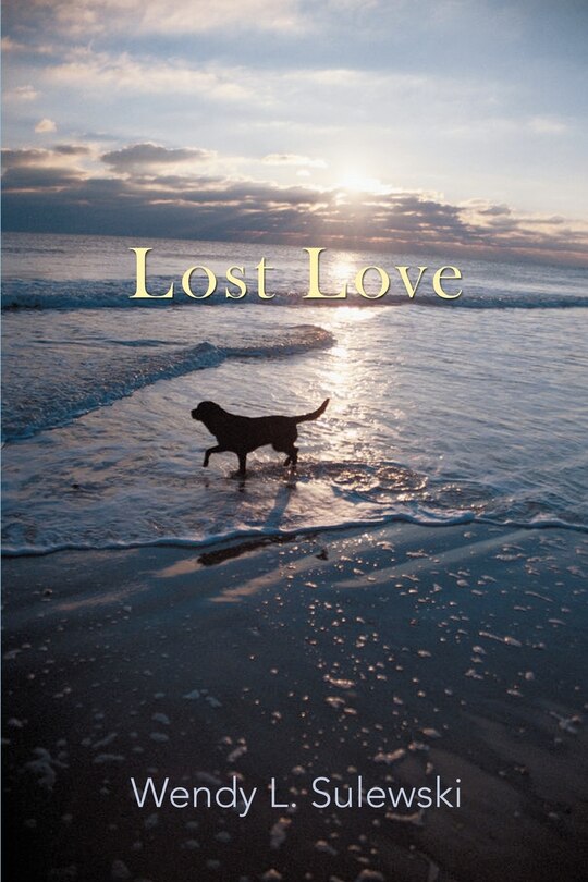 Couverture_Lost Love