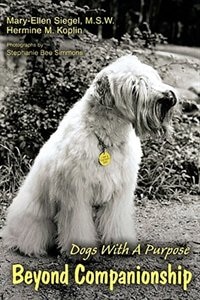 Couverture_Beyond Companionship