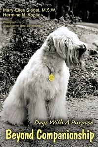 Couverture_Beyond Companionship
