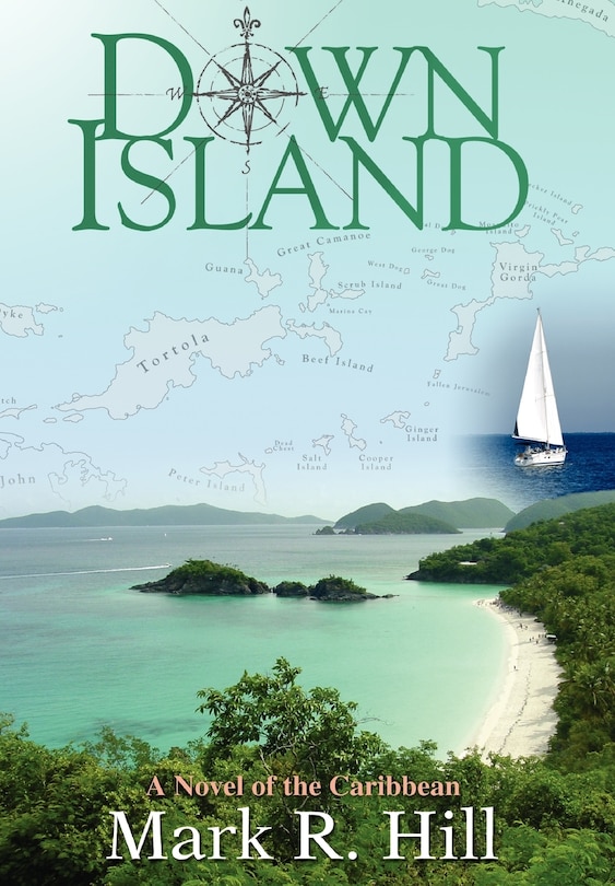 Couverture_Down Island