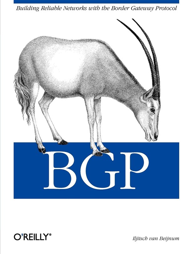 Bgp: Building Reliable Networks With The Border Gateway Protocol