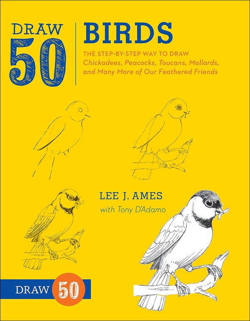 Couverture_Draw 50 Birds