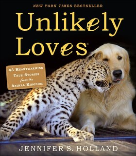 Front cover_Unlikely Loves