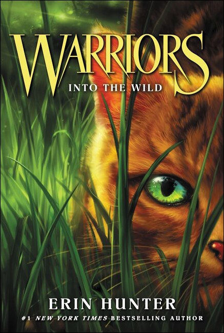 Front cover_Into the Wild