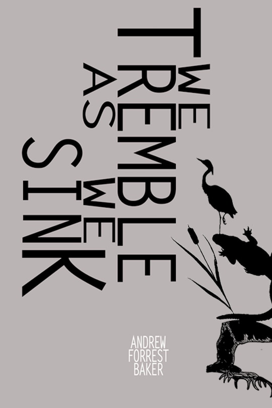 Couverture_We Tremble As We Sink