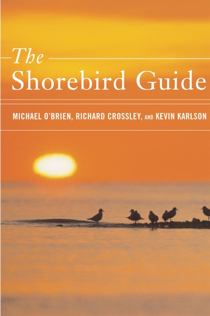 Front cover_The Shorebird Guide