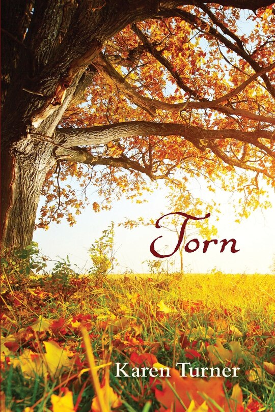 Couverture_Torn