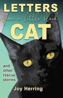 Front cover_Letters from a Little Black Cat