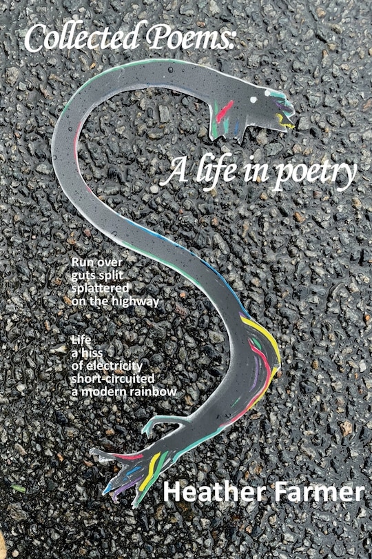 Front cover_Collected Poems