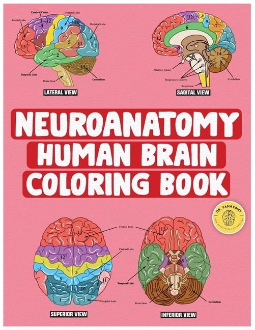 Front cover_Neuroanatomy Human Brain Coloring Book