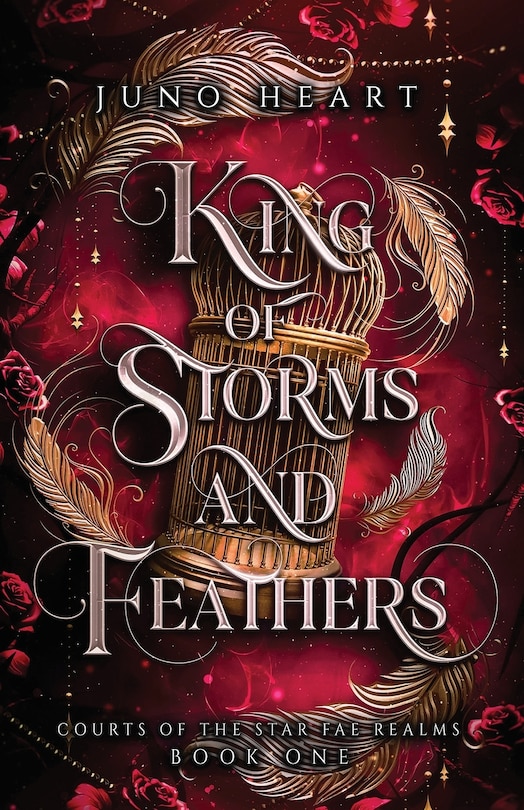Front cover_King of Storms and Feathers