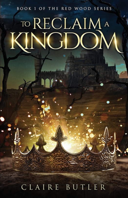Couverture_To Reclaim A Kingdom
