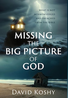 Couverture_Missing The Big Picture Of God