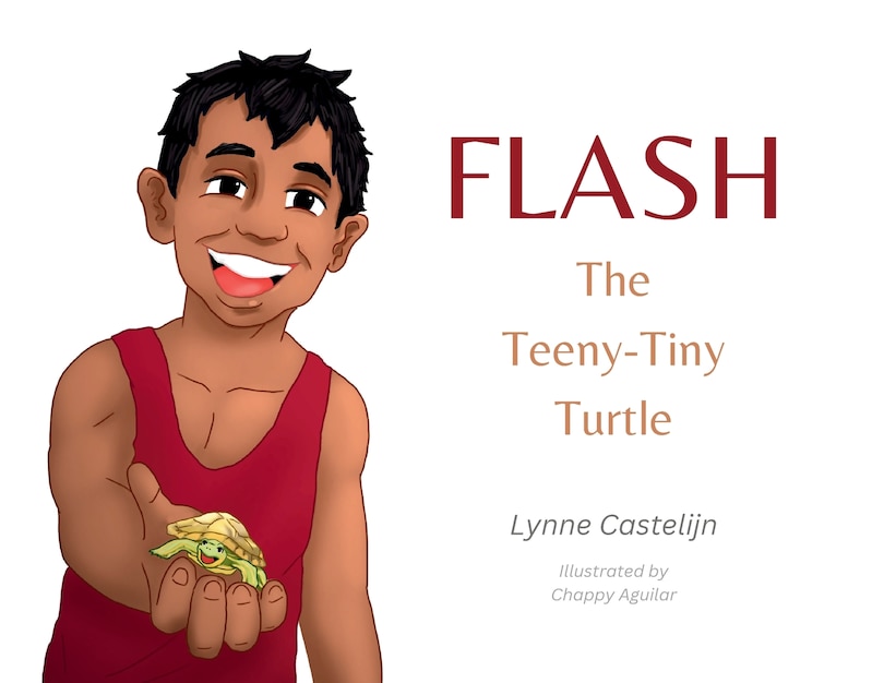 Couverture_Flash, The Teeny Tiny Turtle
