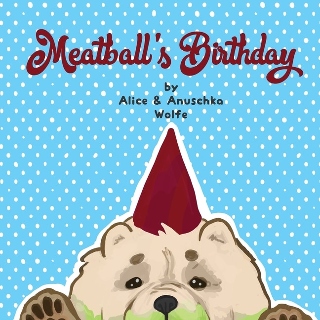 Front cover_Meatball's Birthday