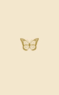 Couverture_Introspection