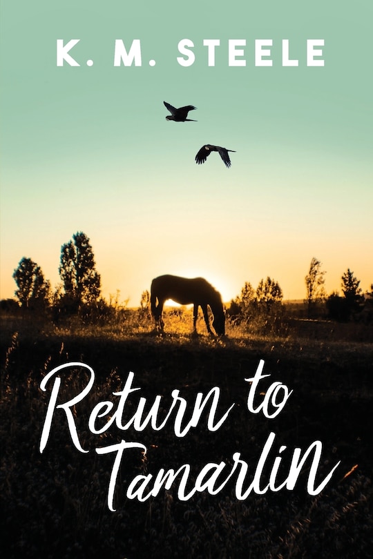 Couverture_Return to Tamarlin