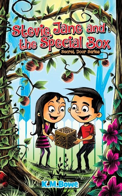 Couverture_Stevie, Jane and the Special Box